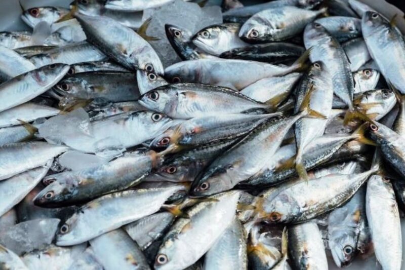 Ragam olahan hasil laut selain ikan